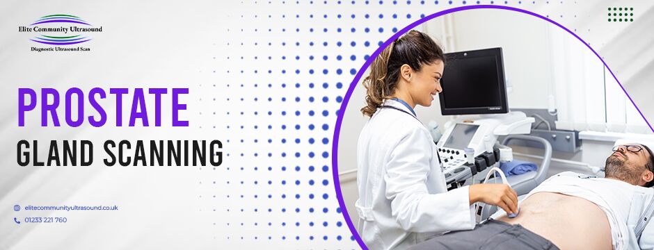 Prostate Gland Scanning